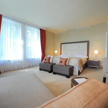 Palace 5* Лозана