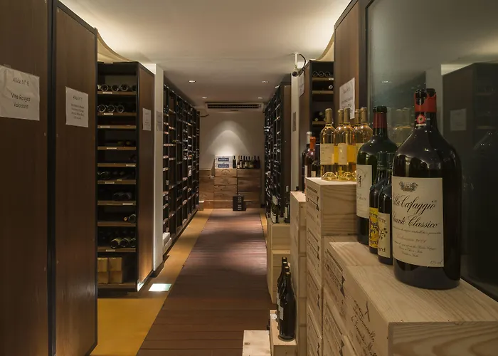 Palace Hotel Lozanna